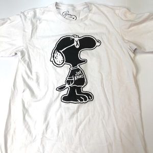 Uniqlo x Kaws x Peanuts Snoopy as Joe Kook Kaws
